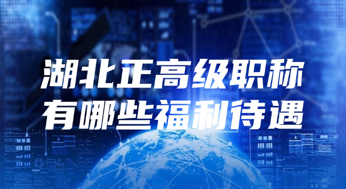 湖北正高级职称有哪些福利待遇
